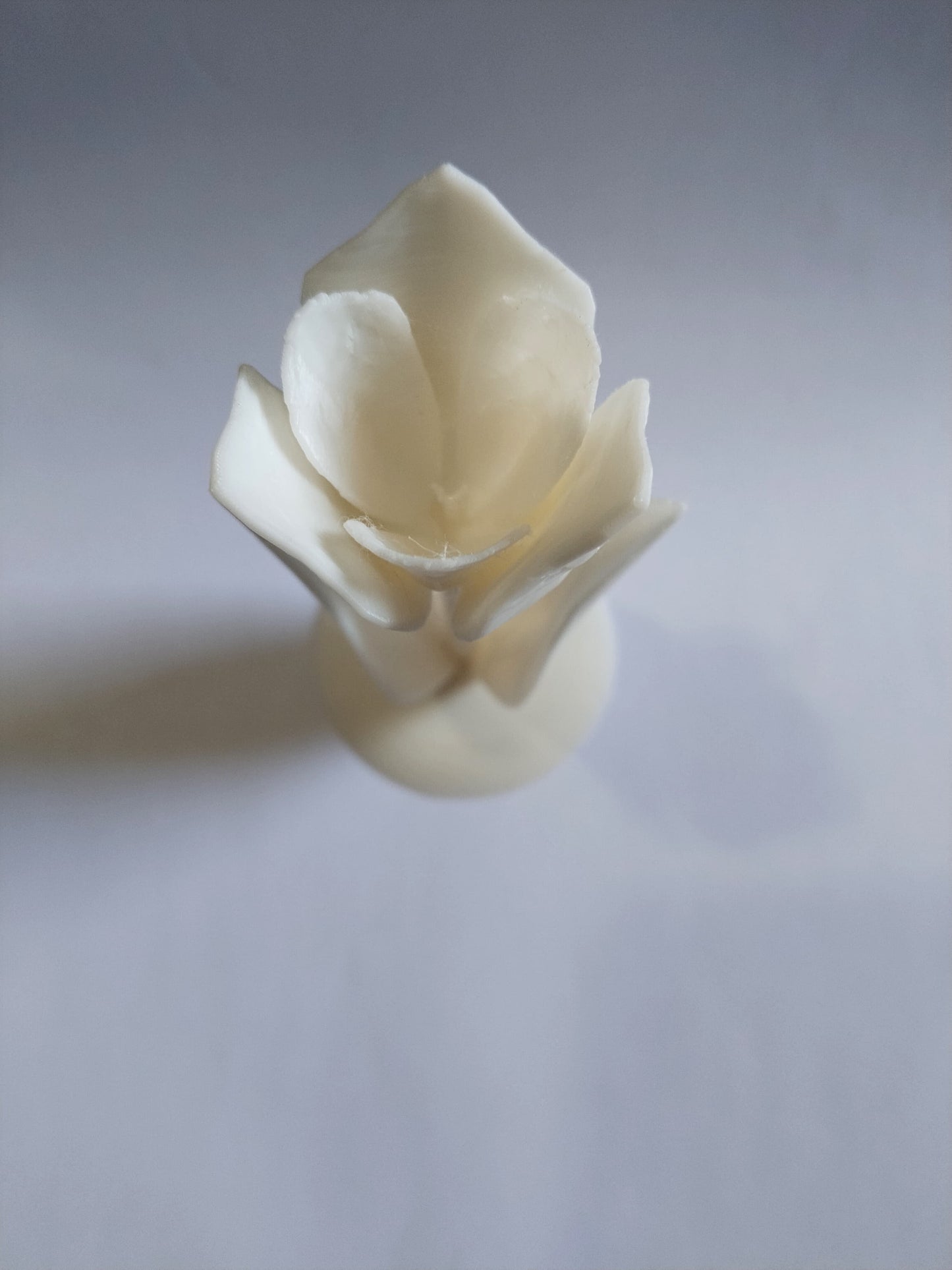 3D Baskı Gül Çiçeği Dekoru