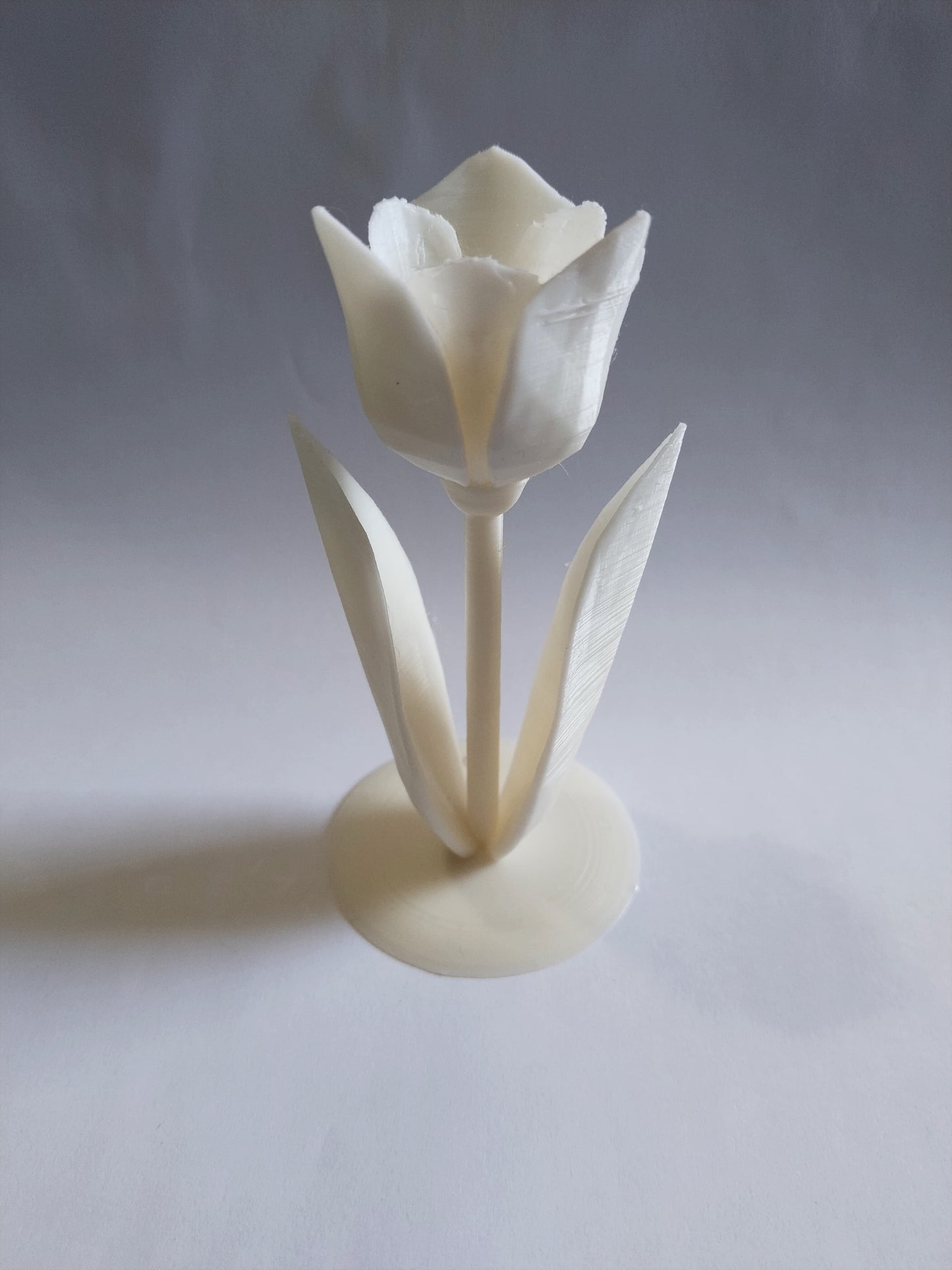 3D Baskı Gül Çiçeği Dekoru