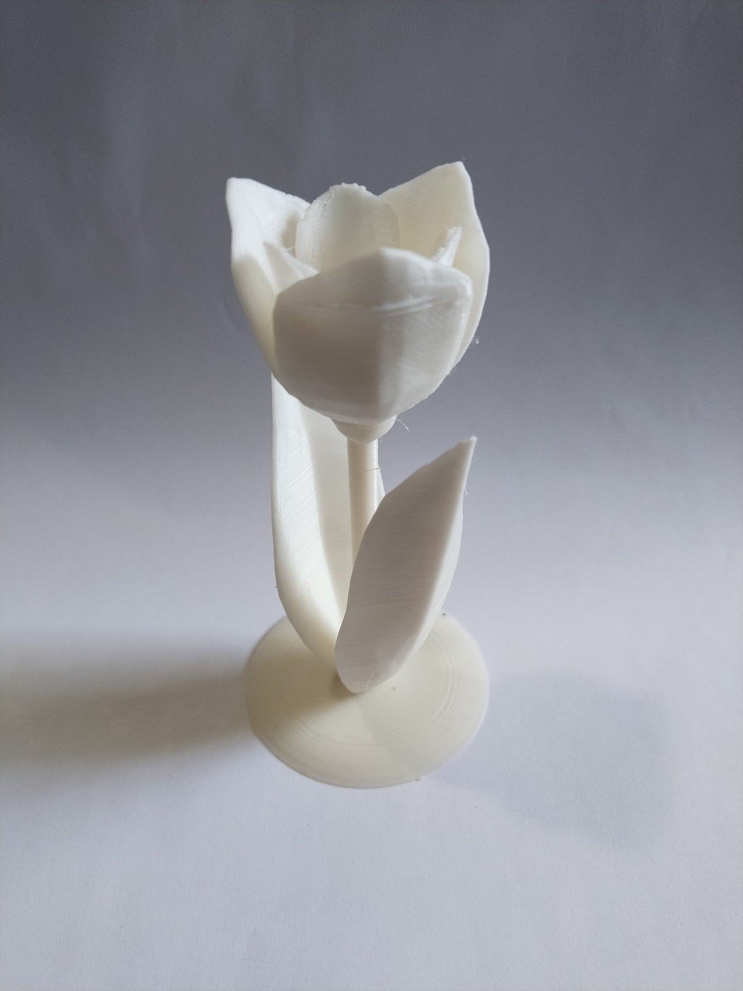 3D Baskı Gül Çiçeği Dekoru